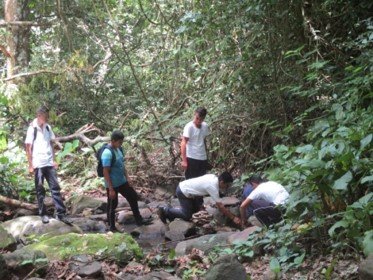 Acciones de restauración en 10.0 hectáreas de bosques de galería (o ribereño), mejorando la cobertura con la siembra de 4,000 plantas forestales.