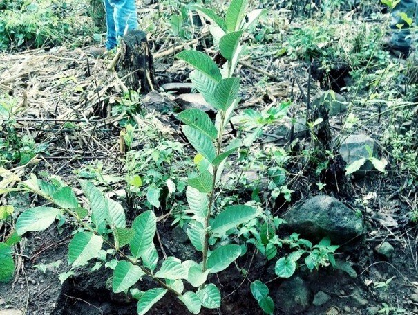 Construcción de un Modelo Participativo de Gestión Integrada del Recurso Hídrico en el Municipio.