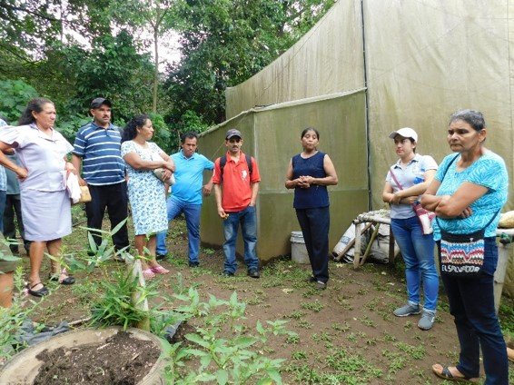 Conformación de grupos de productores/as, feria de logros, intercambios de experiencias.