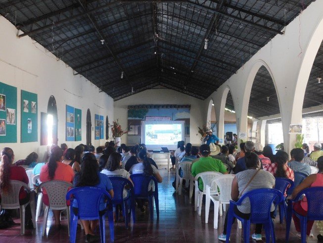 Actividades de sensibilización para la protección del medio ambiente.